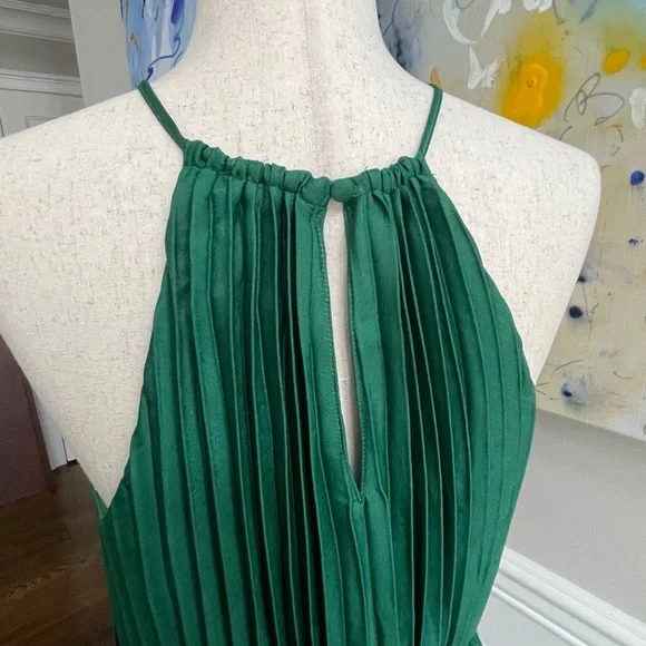 Banana Republic Green Halter Pleated Maxi Dress - Picture 5 of 7